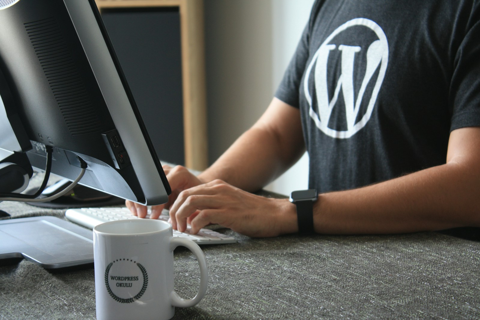 Read more about the article Mastering WordPress Customization – Design Tips For Beginners