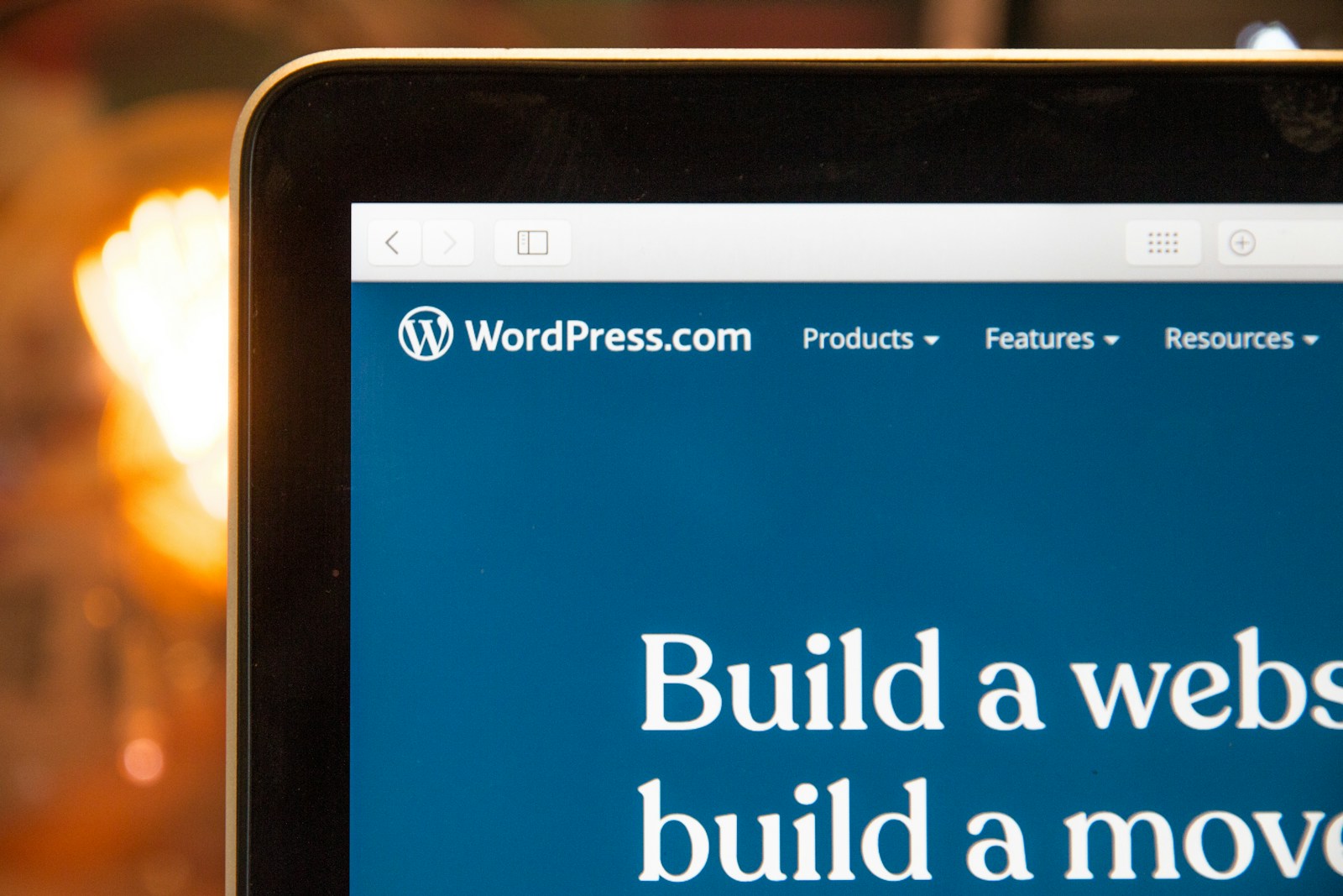 Read more about the article The Ultimate Guide To Optimizing Your WordPress Website